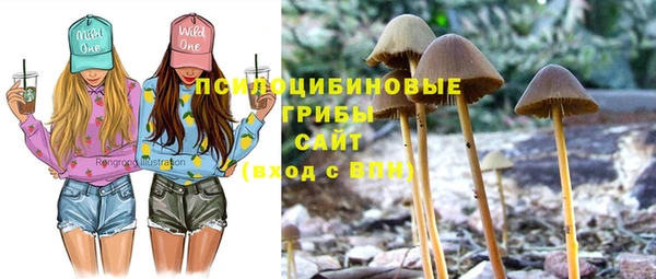 mix Алексеевка